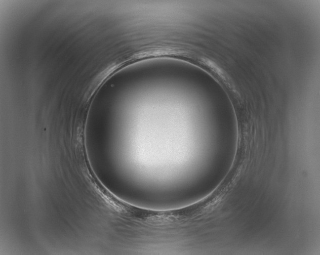 X0000057581185200509161054