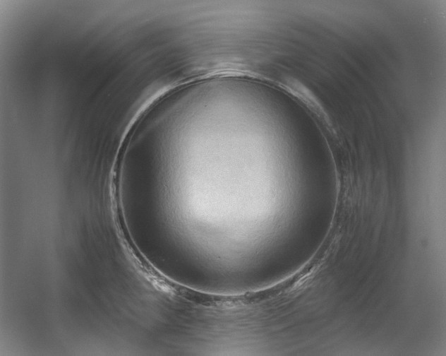 X0000057581190200509161054