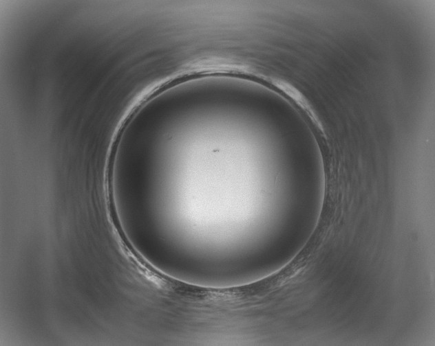 X0000057581191200509161054