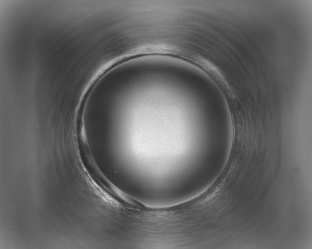 X0000057581192200509161054