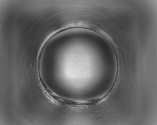 X0000057581200200509161054