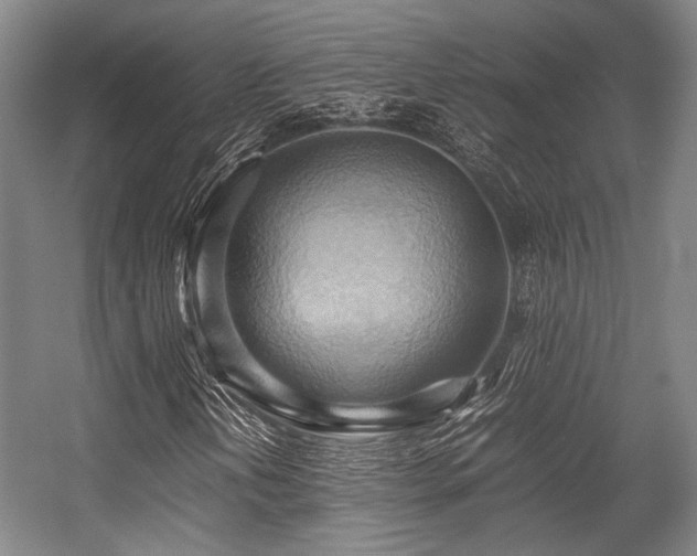 X0000057581202200509161053