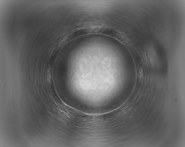 X0000057581204200509161053