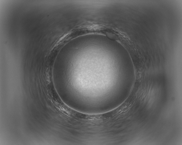 X0000057581205200509161053