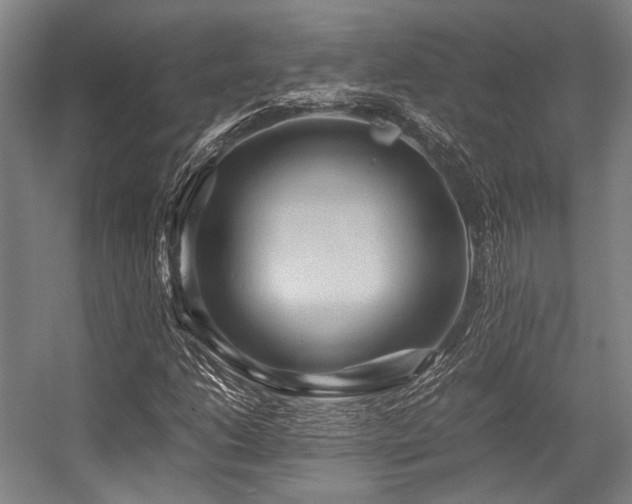 X0000057581206200509161053