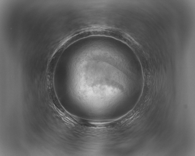 X0000057581208200509161053