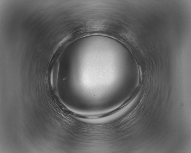 X0000057581210200509161053