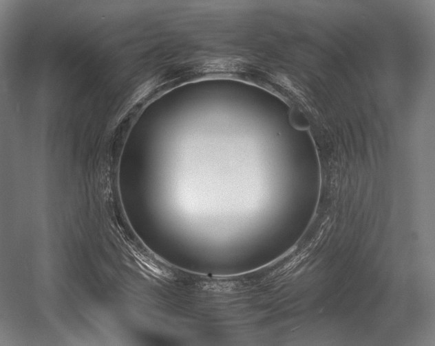 X0000057581211200509161053