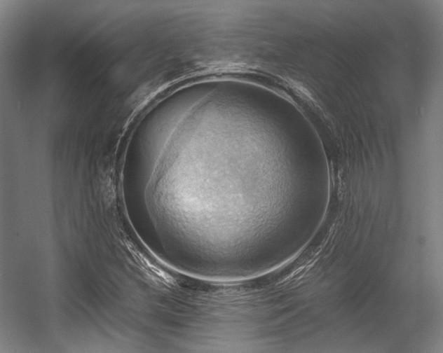 X0000057581212200509161053