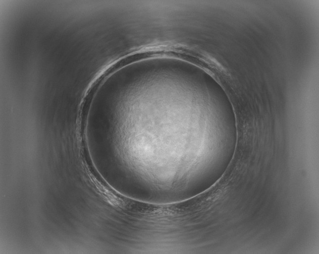 X0000057581216200509161053