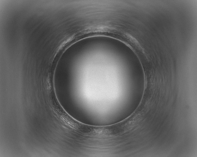 X0000057581218200509161053
