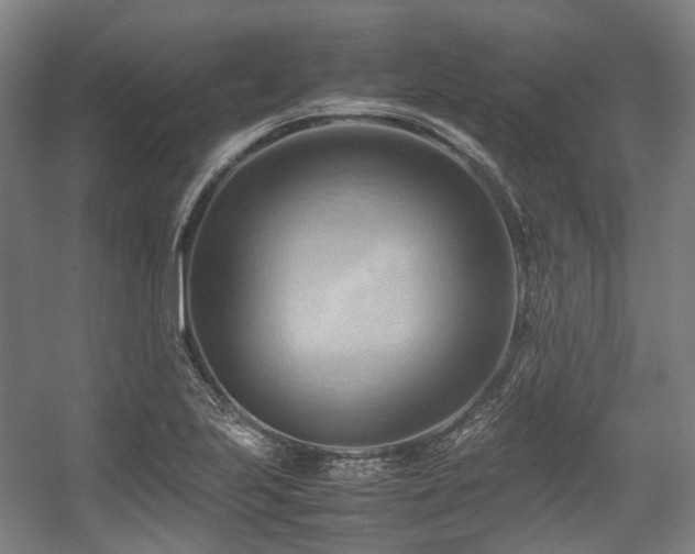 X0000057581223200509161053
