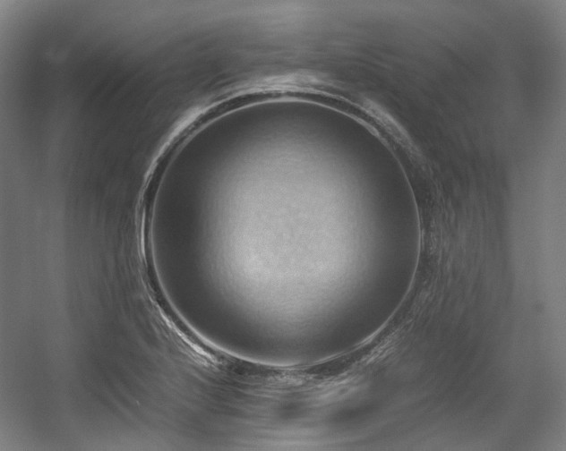 X0000057581224200509161053