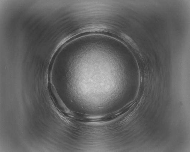 X0000057581226200509161053