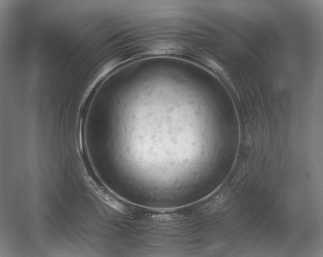 X0000057581227200509161053