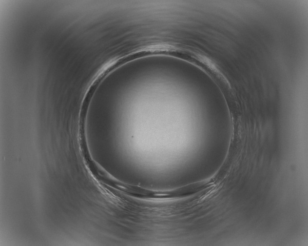 X0000057581229200509161053
