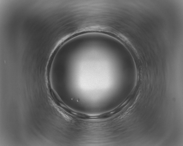 X0000057581230200509161053