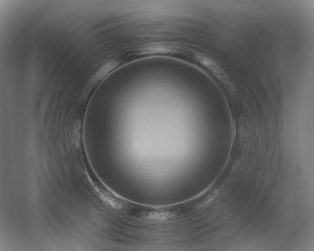 X0000057581233200509161053