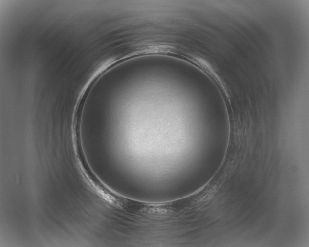 X0000057581235200509161053