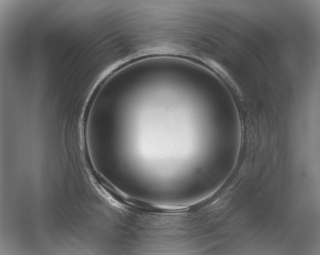 X0000057581238200509161053