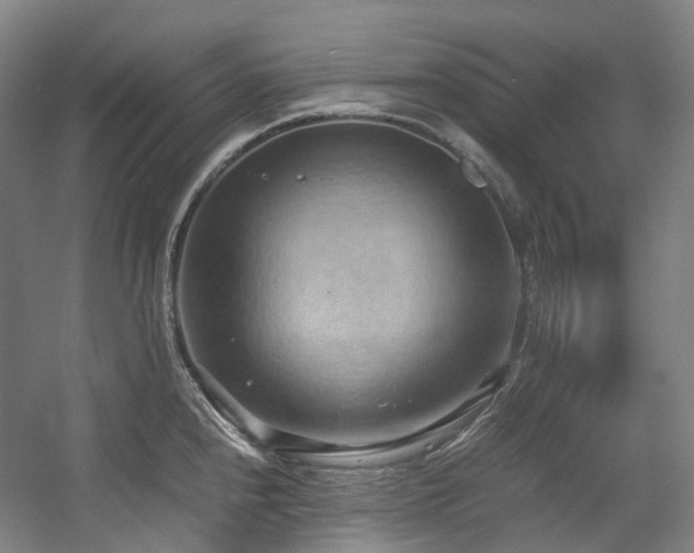 X0000057581240200509161053