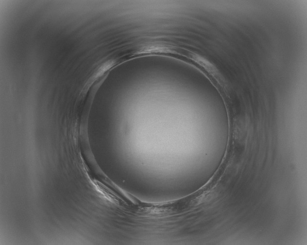 X0000057581241200509161053