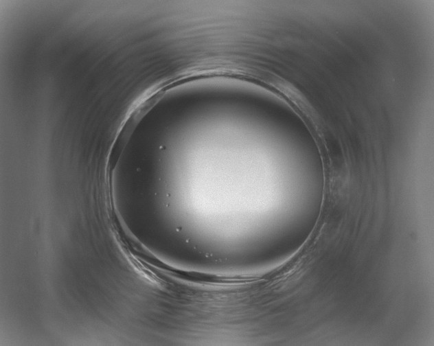 X0000057581242200509161054