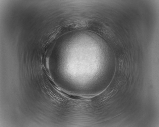 X0000057581250200509161053