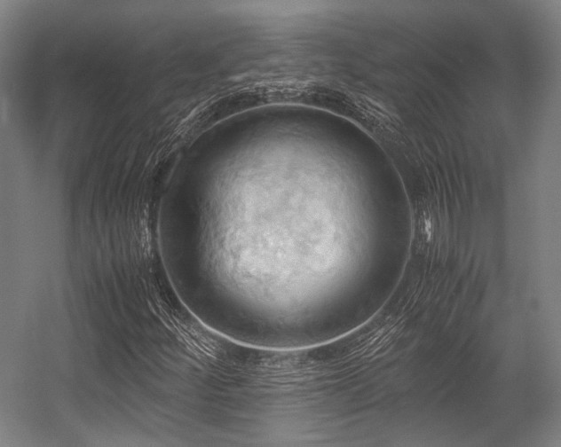 X0000057581252200509161053