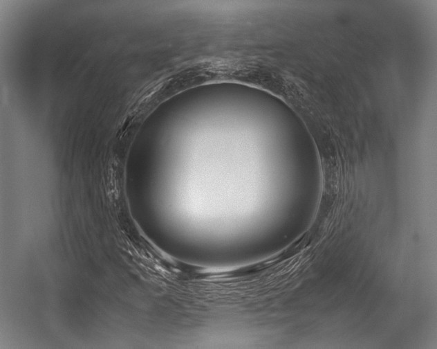 X0000057581253200509161053