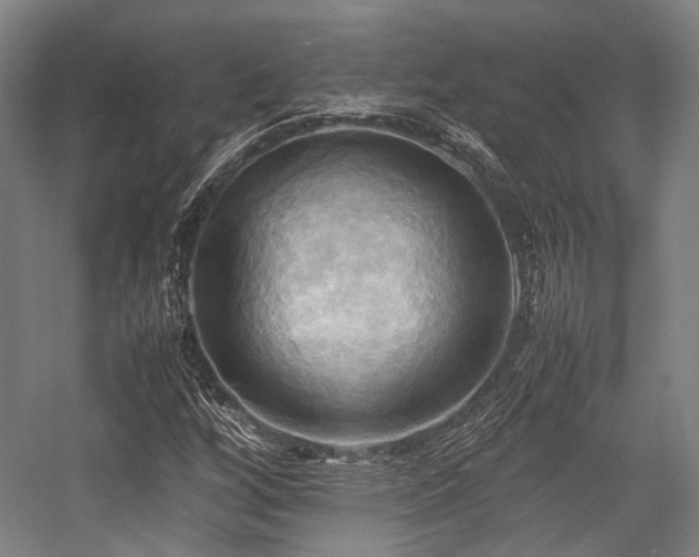 X0000057581256200509161053