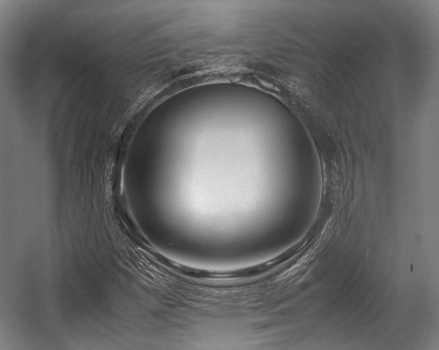 X0000057581257200509161053