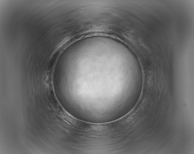 X0000057581258200509161053