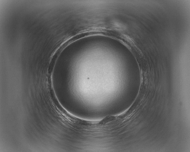 X0000057581260200509161053