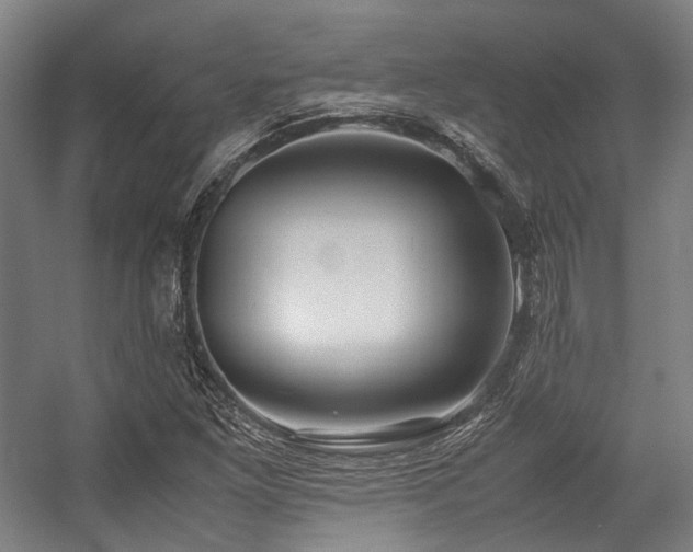 X0000057581261200509161053