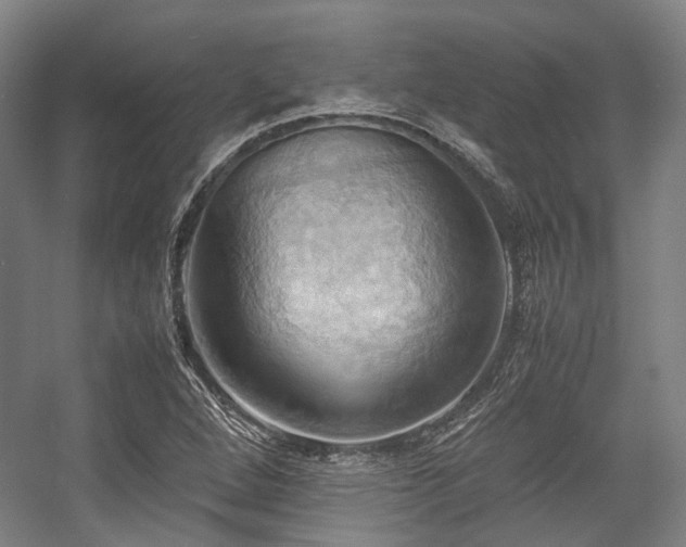 X0000057581264200509161053