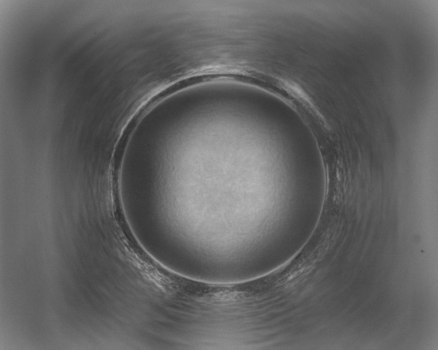 X0000057581268200509161052