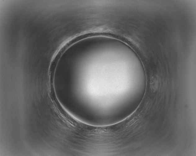 X0000057581270200509161052
