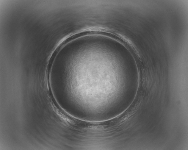 X0000057581272200509161052