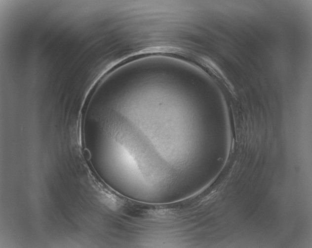 X0000057581276200509161052