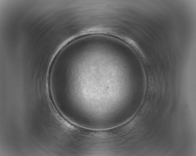 X0000057581288200509161052