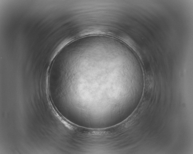 X0000057581290200509161052