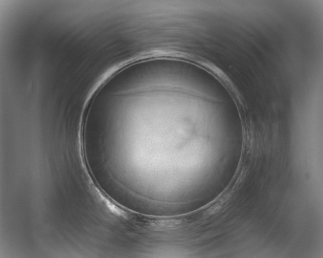 X0000057581294200509161052