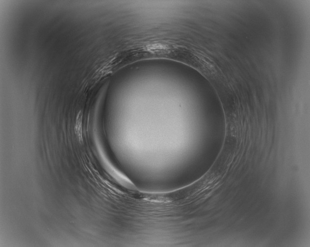 X0000057581298200509161051