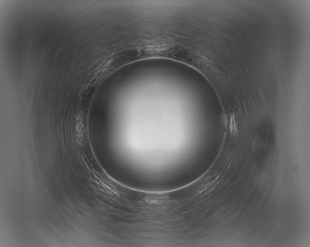 X0000057581299200509161051