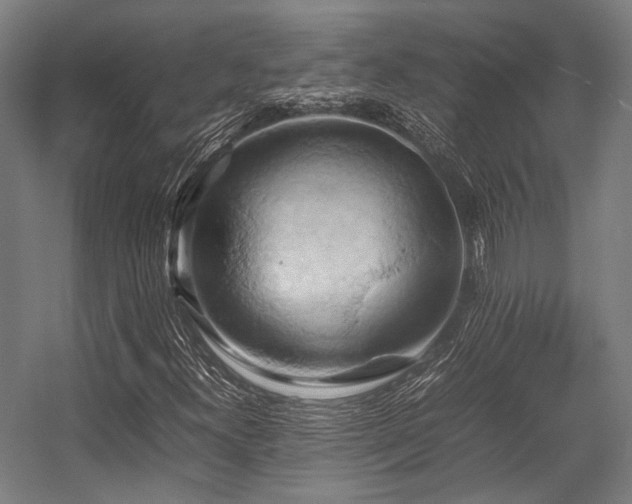 X0000057581300200509161051