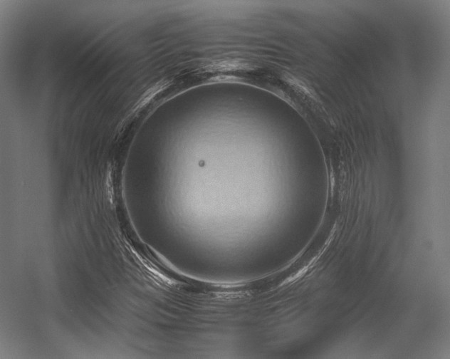X0000057581305200509161051