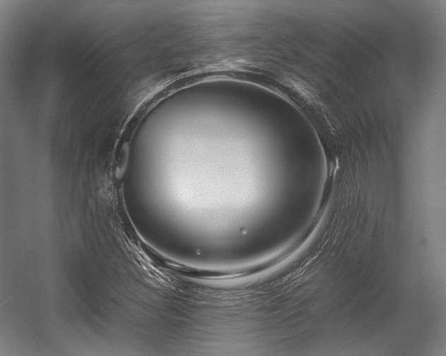 X0000057581308200509161051