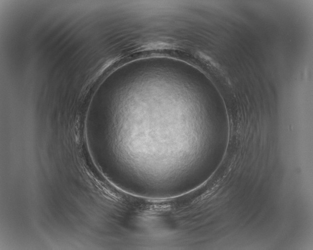 X0000057581313200509161051