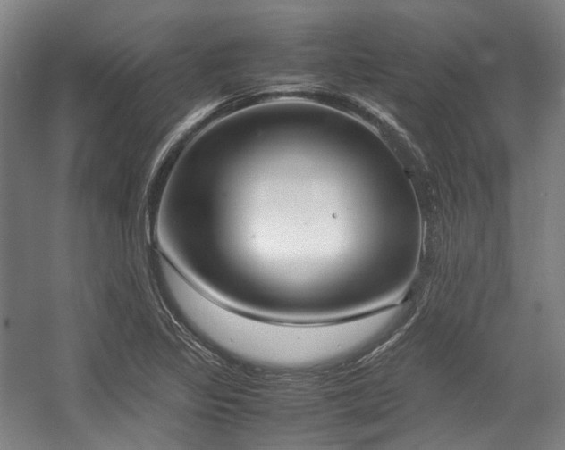 X0000057581317200509161052